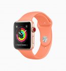 Apple watchOS 5 Summer Bands 01 screen 06042018