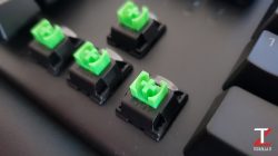 Razer BlackWidow Elite Nuovi Switch