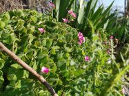IMG 20190324 160257