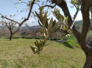 IMG 20190324 160748