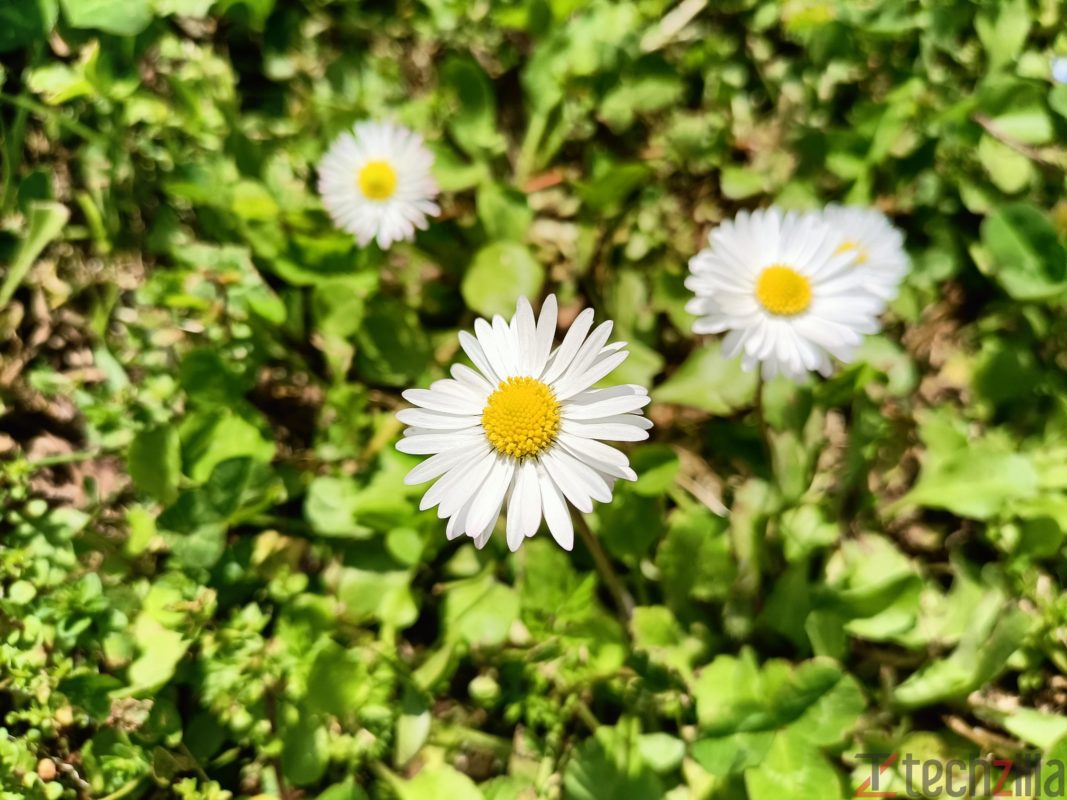 oppo a 94 5g sample photo 11