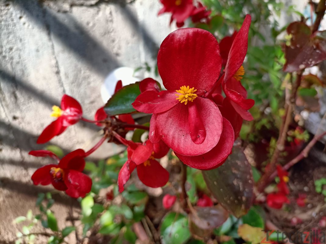 oppo a 94 5g sample photo 18