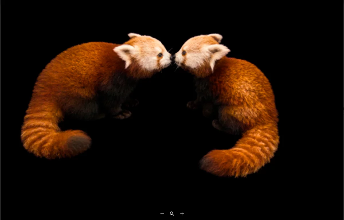 FireShot Capture 376 Endangered Colour OPPO e National Geographic per la salvaguardia del mail.google.com