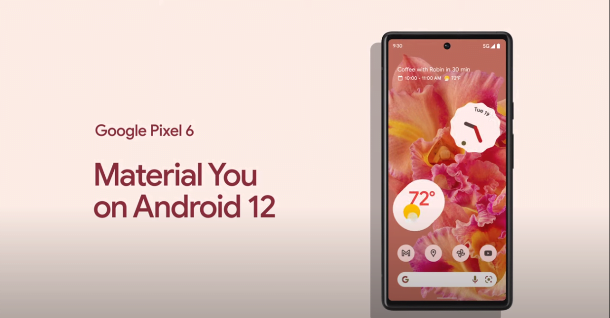 pixel 6 tz 12