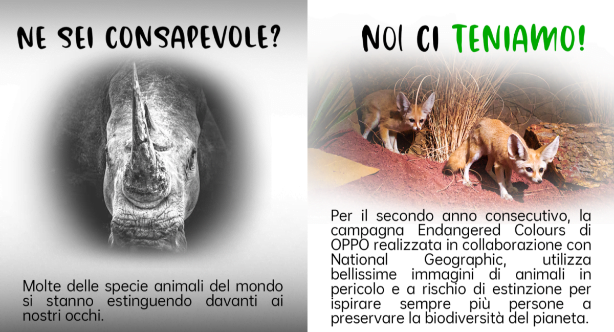 Earth Day: OPPO mette la sua tecnologia a servizio del pianeta 5 oppo earth day 2022 3