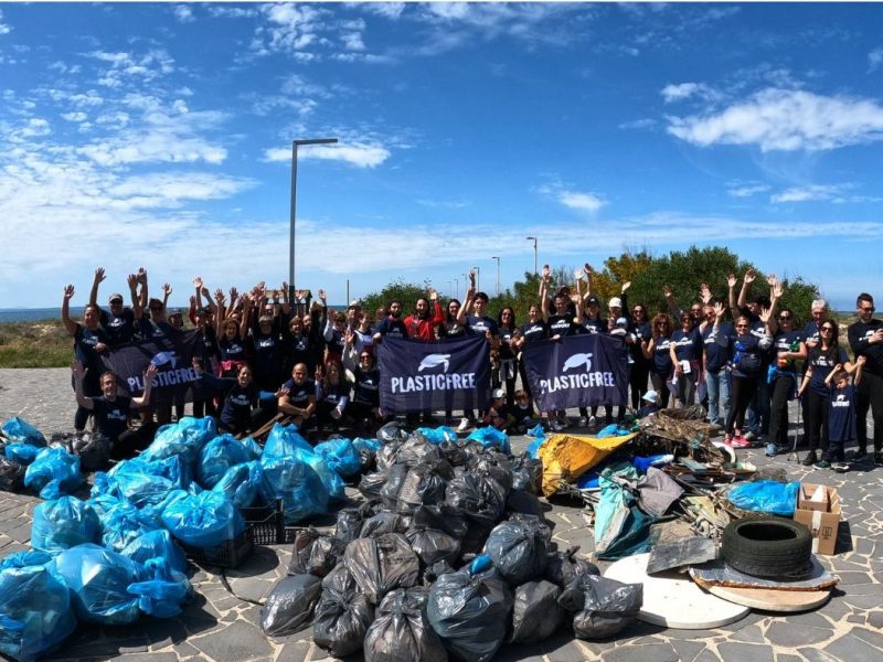 plastic free 2 1