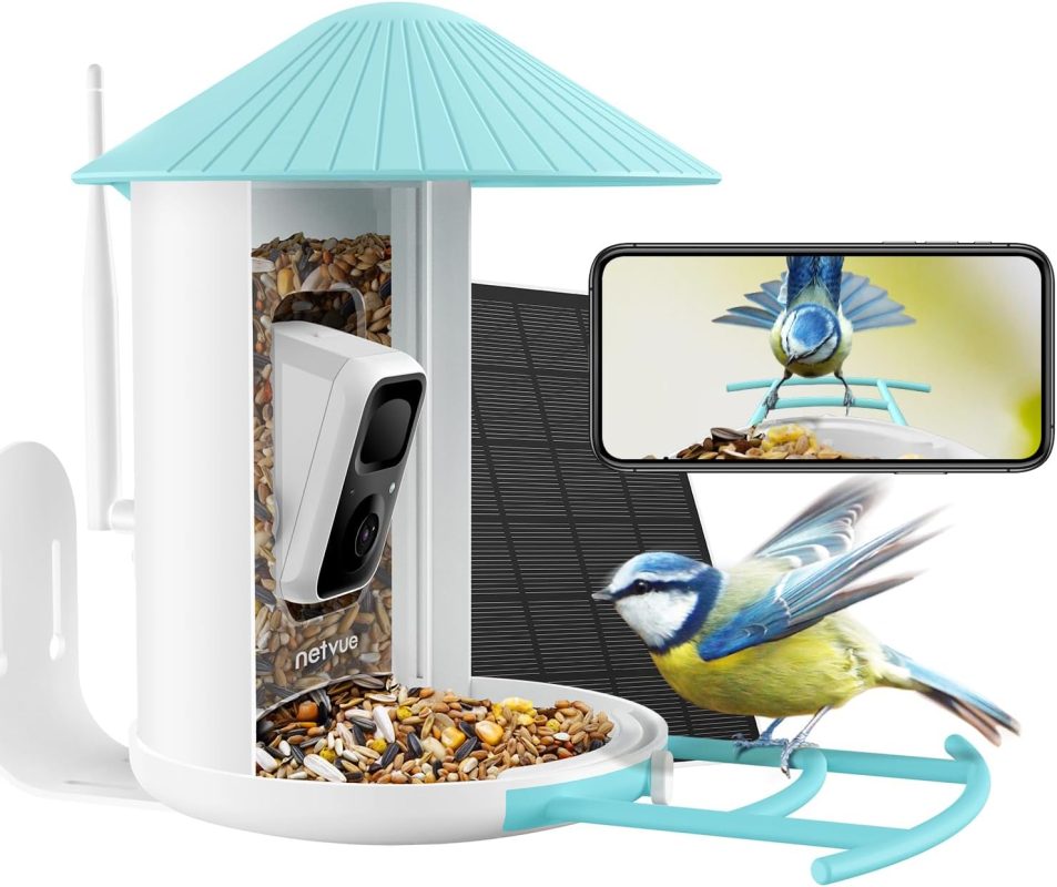 Recensione Birdfy Feeder, mangiatoia con AI per il Birdwatching: divertente ed educativa 13 71KZSSsgbUL. AC SL1500