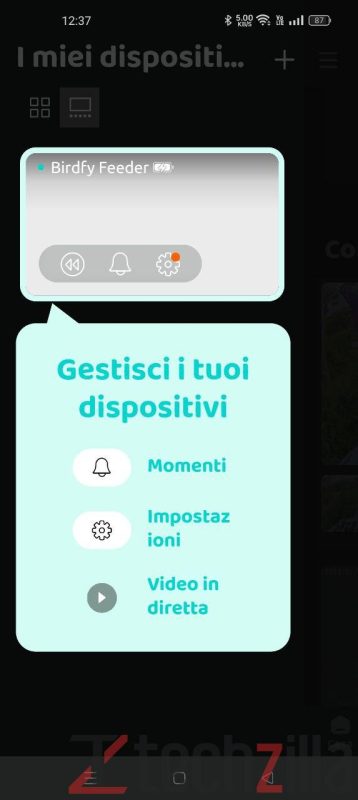 Recensione Birdfy Feeder, mangiatoia con AI per il Birdwatching: divertente ed educativa 10 photo 2024 08 12 10 24 40