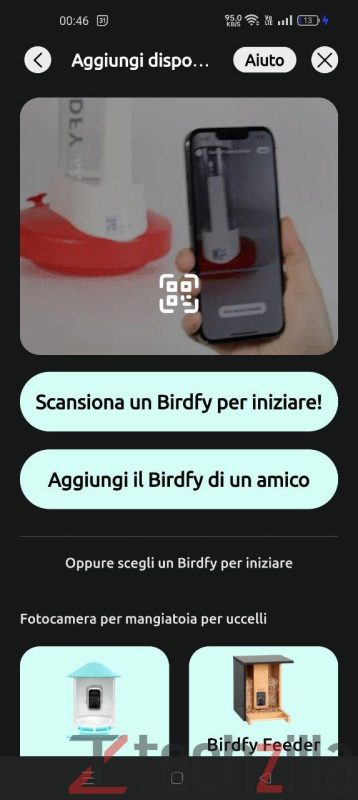 Recensione Birdfy Feeder, mangiatoia con AI per il Birdwatching: divertente ed educativa 6 photo 2024 08 12 10 24 46