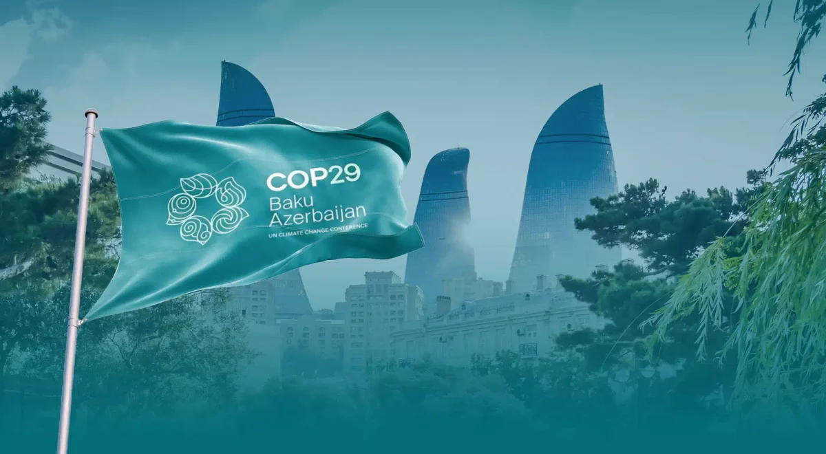 xiaomi cop 29
