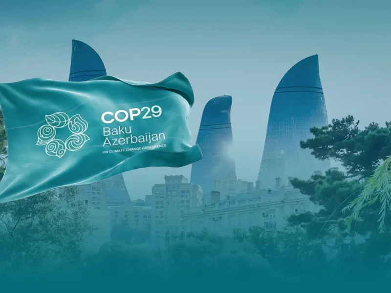 xiaomi cop 29