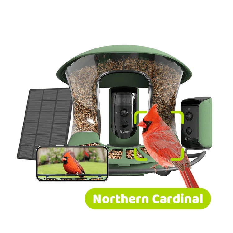 Birdfy presenta Birdfy Feeder 2: il birdwatching con AI e doppia videocamera 3 birdfy feeder 2 TZ 1