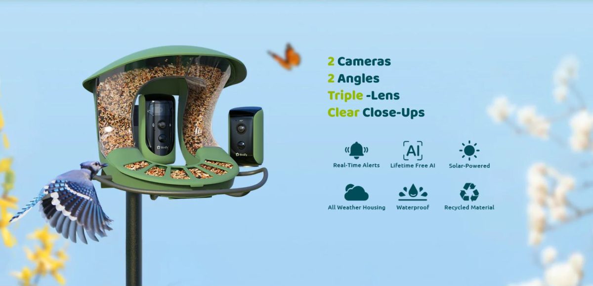 birdfy feeder 2 TZ 3