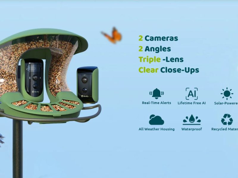 birdfy feeder 2 TZ 3