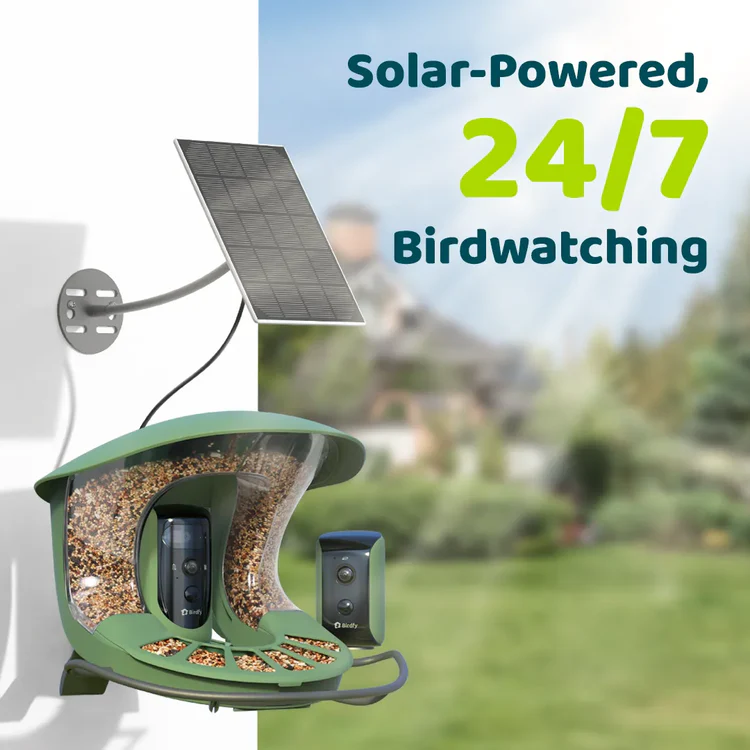 Birdfy presenta Birdfy Feeder 2: il birdwatching con AI e doppia videocamera 5 birdfy feeder 2 TZ 3
