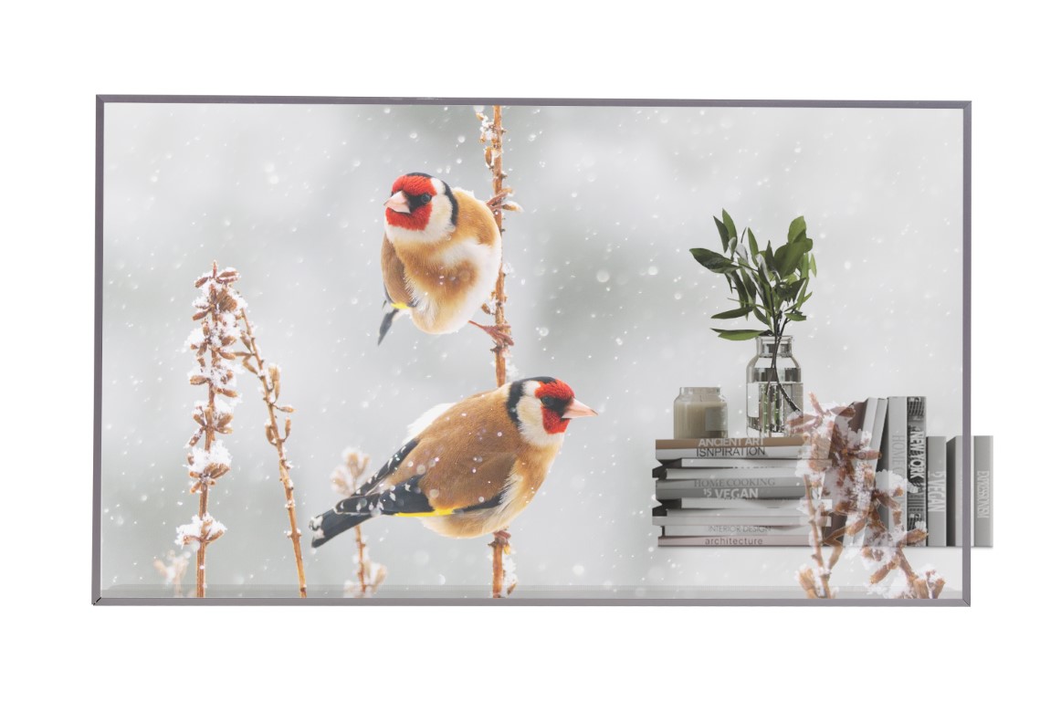LG porta in Italia il futuro del digital signage: il display OLED trasparente da 55" 3 55EW5P M Product Image front
